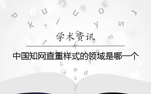 中国知网查重样式的领域是哪一个？？