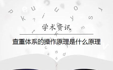 查重体系的操作原理是什么原理