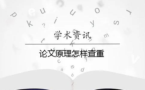 论文原理怎样查重