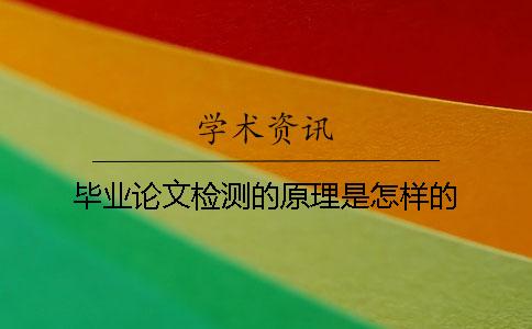 毕业论文检测的原理是怎样的？